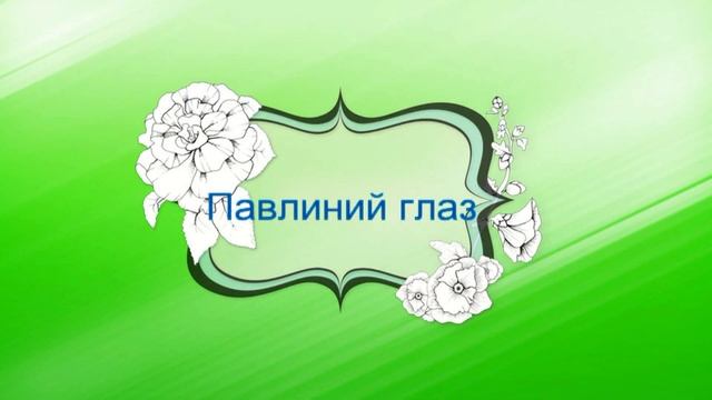 Они такие разные.Стадии развития 3-х бабочек. смотреть онлайн