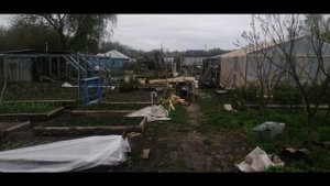 У природы нет плохой погоды))). Бегонии от "Катя Катерина и ее цветы".