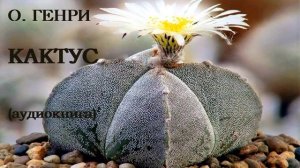 О. ГЕНРИ КАКТУС. Рассказ(аудиокнига)