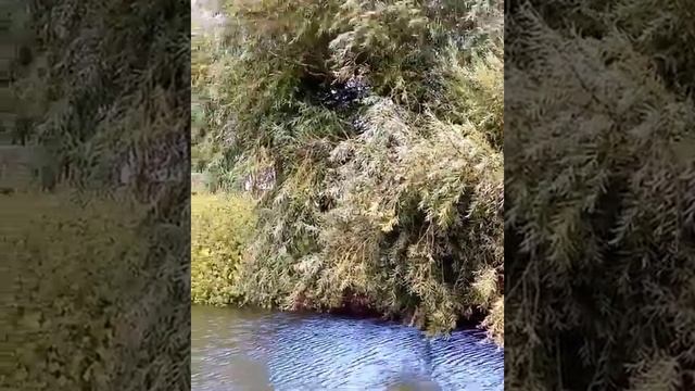 Астраханские речушки. Село Полдневое