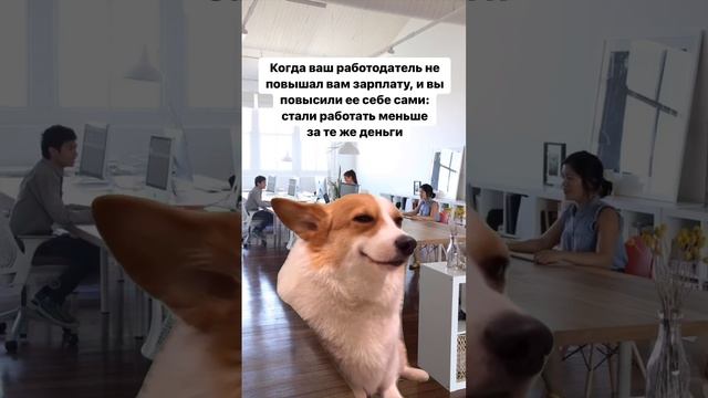Ну жиза же ?