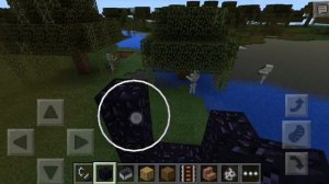 Как сделать черного Скелета в Minecraft 0. 13.1