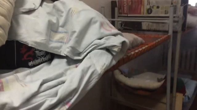 ДезКонтроль Сервис обработка хостела от клопов, г Балашиха смотреть онлайн