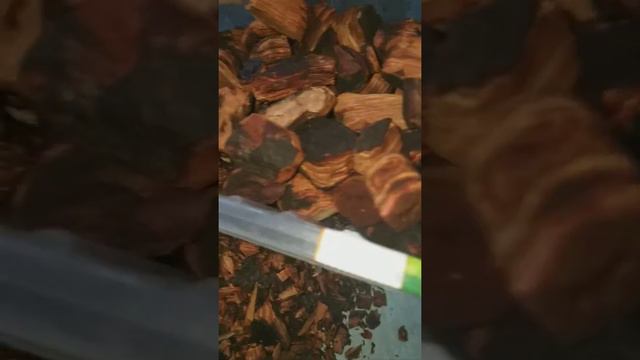 Как я обрабатываю кору,которую сама насобирала.