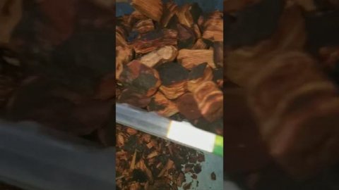 Как я обрабатываю кору,которую сама насобирала.