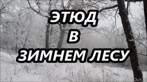 Этюд в зимнем лесу