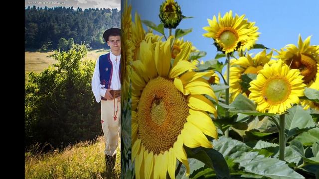 Ethno-American LP recordings in the US 4038 @lemkovladekRichie Gomulka Meets The Paliga Polka Dots смотреть онлайн