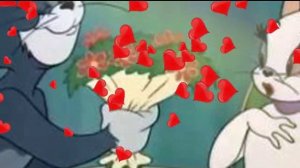 Мартовский котик