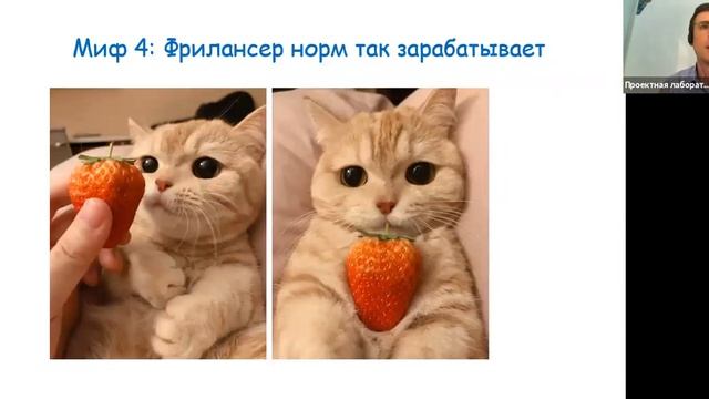 Александр Страдчук - Мифы и правда о фрилансерстве и работе на удаленке