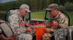 ПОЛОСАТЫЙ РЕЙД