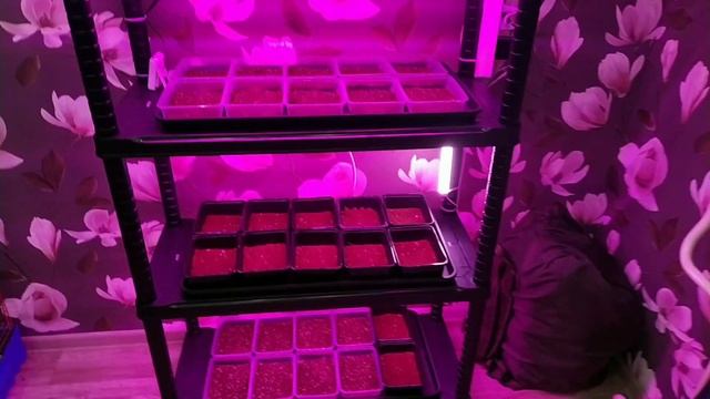 Ситиферма своими руками. Часть 2 смотреть онлайн