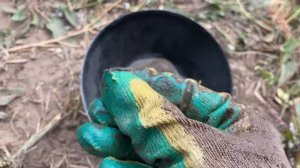 АБИССИНСКАЯ СКВАЖИНА НЕ ПОЛУЧИТСЯ!!!СОСЕДИ ОБМАНУЛИ