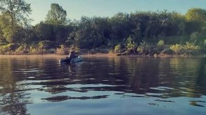 Рыбалка на реке Ветлуга. 25.06.2022.