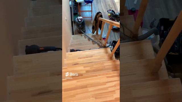 Реставрация старой деревянной лестницы смотреть онлайн