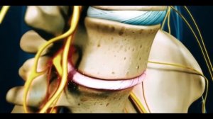 Почему уменьшается рост человека? | ПОЛЕЗНЫЙ ЮТУБ