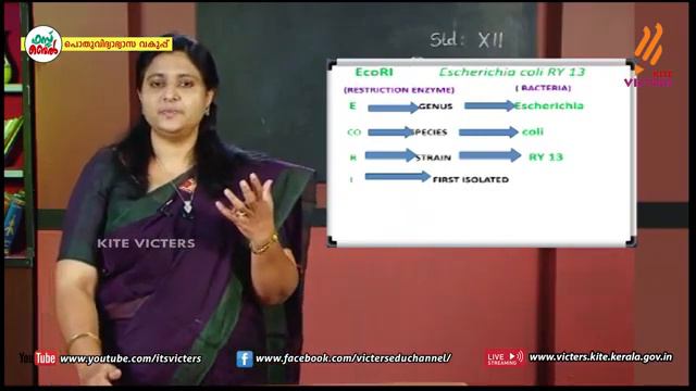 Class 12 BIOLOGY ||Biotechnology Principles and Processes-3