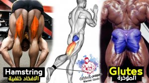 ТОП УПРАЖНЕНИЯ ДЛЯ ПРОКАЧКИ ПОПЫ ДОМА