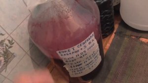 Сусло ПЕРВЫЙ ДЕНЬ БРОЖЕНИЯ, добавил САХАР