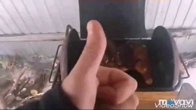 курица гриль в самодельном гриле из газбалона смотреть онлайн