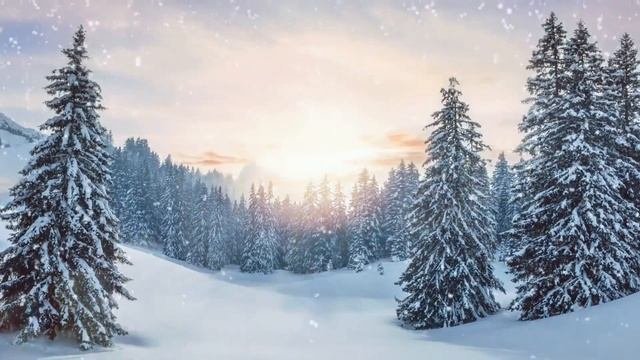Учиться эффективно. Урок 3. Как мне вообще учиться?