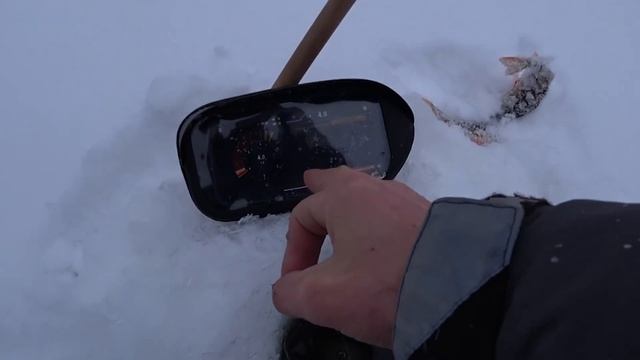 ЗАБРАЛСЯ В РЕАЛЬНУЮ ГЛУШЬ, ГДЕ НЕТ ЛЮДЕЙ! РЫБАЛКА НА ДИКОМ ЛЕСНОМ ОЗЕРЕ! смотреть онлайн