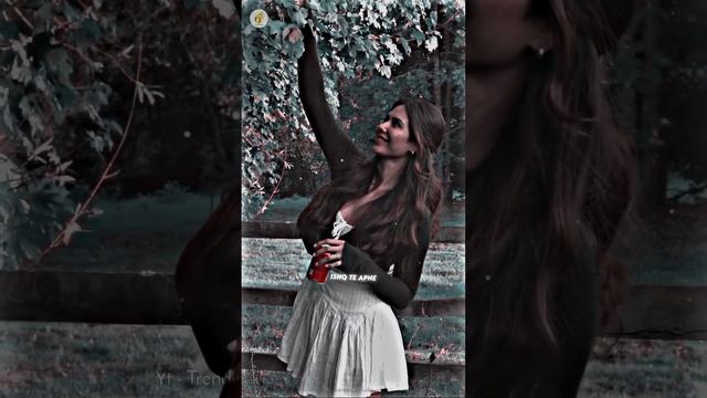 mi amor status mi amor sharn status mi amor slowed reverb mi amor slowed reverb status смотреть онлайн