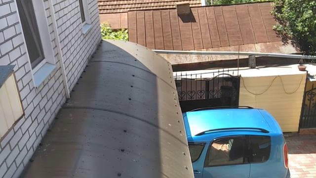 Иволга поёт в клетке смотреть онлайн