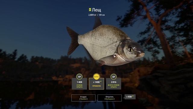 Русская рыбалка 4 - Куорский Лещ, невиданная раздача Леща на Куори [#33] смотреть онлайн