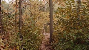 Муж с женой, на охоте и свадьба по еврейски