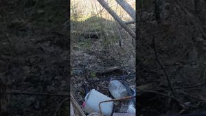 рыбалка на реке водла