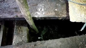 Бактерии для септиков и выгребных ям