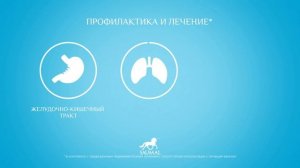 Сухое кобылье молоко SAUMAL®