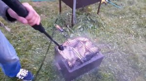 Чистим рыбу керхером