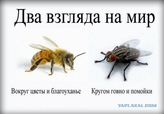 Уровень БЫДЛА