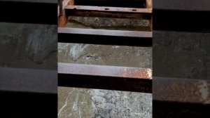 Приморский край остров Аскольд