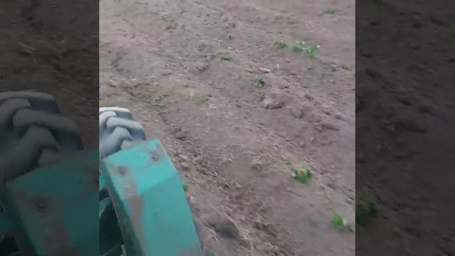 Очередной положительный отзыв покупателя, по ежам для прополки сорняка смотреть онлайн