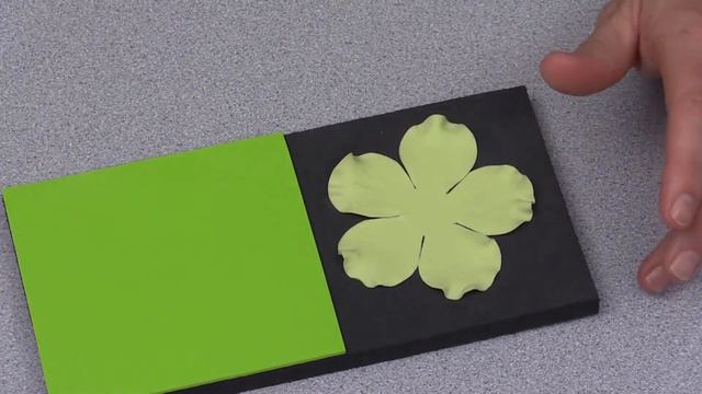 NL No Flip Foam Pad For Making Sugar Flowers & How To Use It with Nicholas Lodge смотреть онлайн