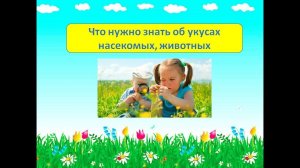 Что нужно знать об укусах насекомых животных