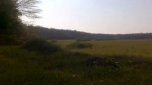 игданит 10 кг/ anfo 10 kg