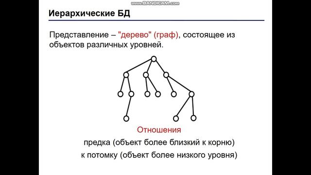 Лекция на тему "Основы баз данных" смотреть онлайн