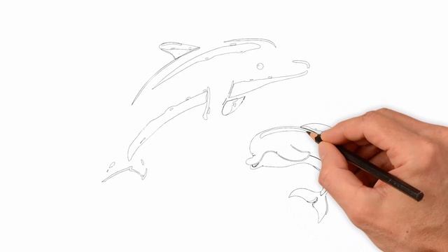 Як намалювати дельфіна, малюємо 2 дельфіни крок за кроком смотреть онлайн