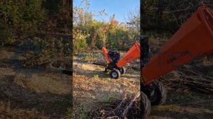 Измельчитель веток GBK-150