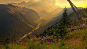 Музыка для релаксации - Игра на Арфе (Slide)