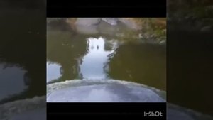 Рыбалка на реке Китой 2020 г.