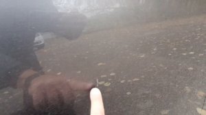 Подбор Хундай Солярис 2012г 50000км 510000р