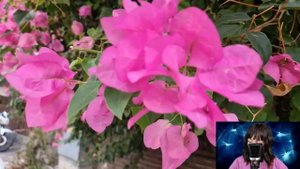 Домработница оцепенела, когда нашла в вещах миллиардера фотографию своей матери. Зигзаг судьбы...