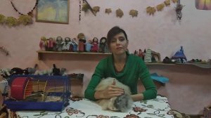 Как научить ребенка заботиться о домашних животных