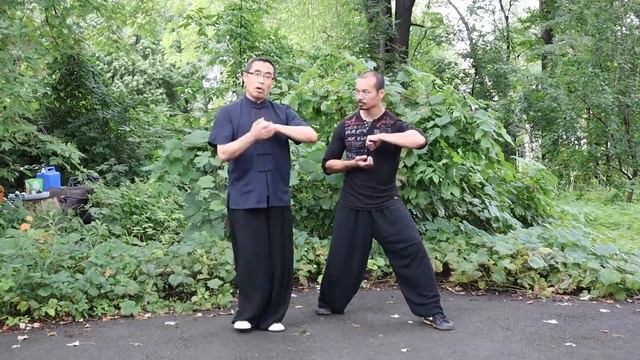 Ян Хай  Базовые практики 7 Синъи удар локтем в форме медведя