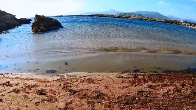 Почему лоси любят соль? | Лось не может жить без соли смотреть онлайн