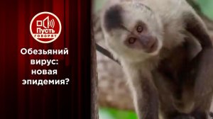 Обезьяний вирус: новая эпидемия? Пусть говорят. Выпуск от 28.05.2022